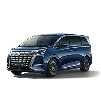 2024款耀世娱乐D9